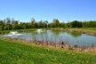19-CommunityPond-DSC_0403_8263.JPG Thumbnail