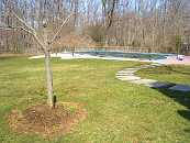 21-YAR-CIMG3387.JPG Thumbnail