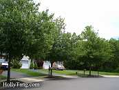 02-HeritageGreens-CIMG3492.JPG Thumbnail