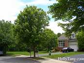 05-HeritageGreens-CIMG3491.JPG Thumbnail