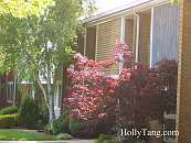 04-HuntingtonPark-CIMG3480.JPG Thumbnail