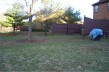 11-BackYard-CIMG1111 Thumbnail
