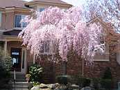 12-FRT-FrontView-IMG_1874 Thumbnail