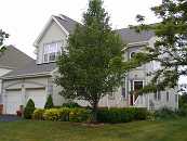 01-FRT-CIMG3655.JPG Thumbnail