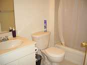 11-BAT-CIMG3834.JPG Thumbnail