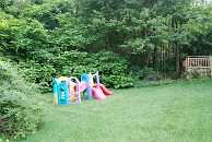 12-BAK-back_yead.JPG Thumbnail