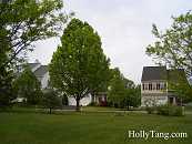 02-PrincetonCrossing-CIMG3467.JPG Thumbnail