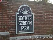 01-P2020025.JPG Thumbnail