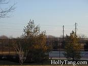 13-P2020018.JPG Thumbnail